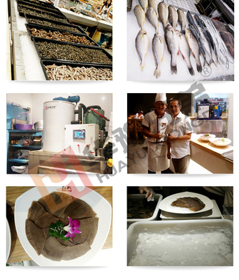 高效餐飲管理利器 200公斤海鮮保鮮片冰機的應用與價值